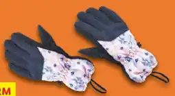 Lidl Crivit Ski-Handschuhe Angebot