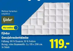Lidl Fjödur Ganzjahresbettdecke Angebot