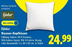 Lidl Fjödur Daunen-Kopfkissen Angebot