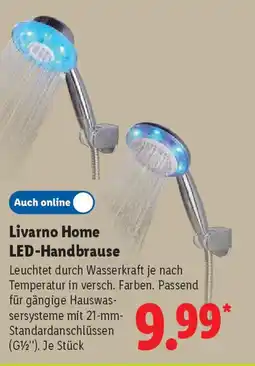 Lidl Livarno Home LED-Handbrause Angebot