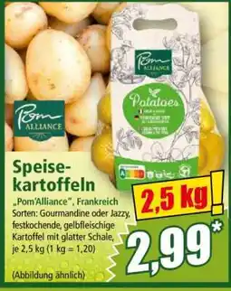 Norma Speisekartoffeln Angebot