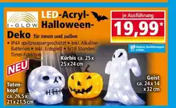 Norma LED-Acryl-Halloween-Deko Angebot