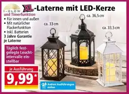 Norma XL-Laterne mit LED-Kerze Angebot