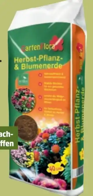 Thomas Philipps Gartenflora Herbst-Pflanz-& Blumenerde Angebot