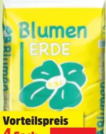 Thomas Philipps Blumenerde Angebot