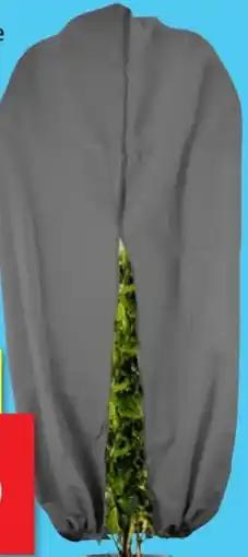 Thomas Philipps XXL-Pflanzen-Frostschutz Angebot