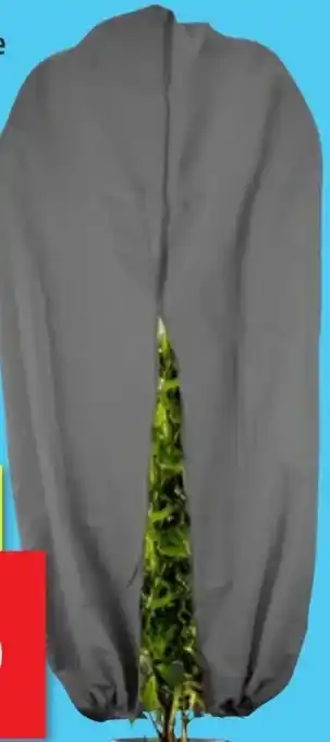 Thomas Philipps XXL-Pflanzen-Frostschutz Angebot
