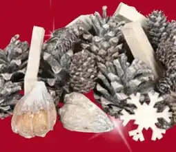 Thomas Philipps Weihnachts Natur-Mix Angebot