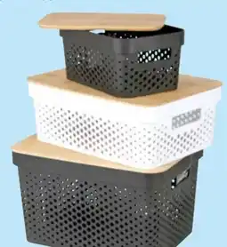 Thomas Philipps Aufbewahrungsbox Angebot