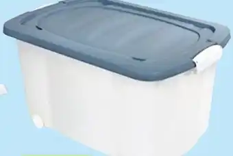 Thomas Philipps Rollenbox Angebot