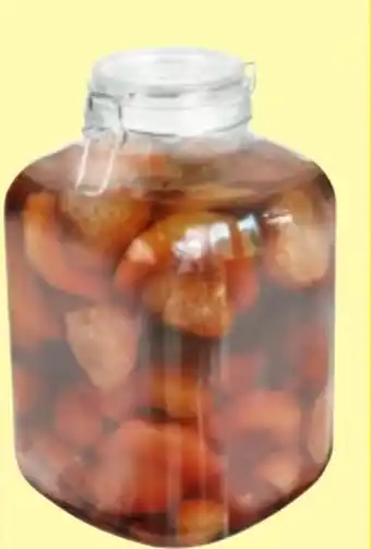 Thomas Philipps Drahtbügelglas XXL Angebot