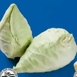 Lidl Spitzkohl Angebot