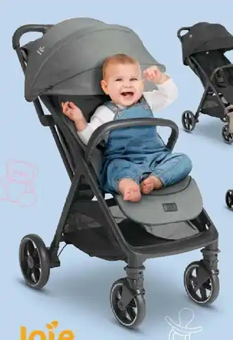 Trends Möbel Joie Buggy Signature Parcel LX Angebot