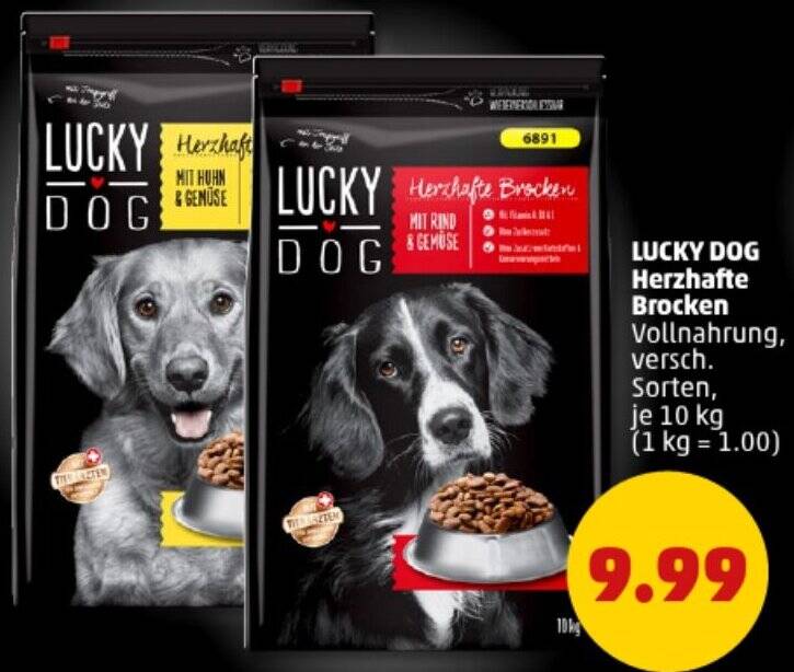 hundeleine leuchtend Hundeleine Glow 2.0 von PAIKKA für sicheres Spazieren mit deinem Hund –  lieblingklein main image 1
