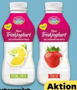 NETTO Sachsenmilch Unser Joghurt Angebot