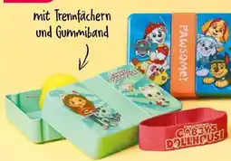 NETTO Lunchbox Paw Patrol Angebot