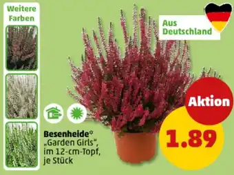 PENNY Besenheide Angebot