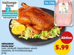 PENNY MÜHLENHOF Frische Ente Angebot