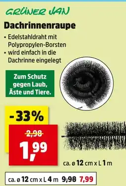 Thomas Philipps Grüner jan dachrinnenraupe Angebot