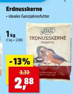 Thomas Philipps Erdnusskerne Angebot