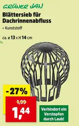 Thomas Philipps Grüner jan blättersieb für dachrinnenabfluss Angebot