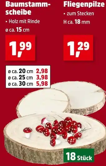 Thomas Philipps Baumstammscheibe Angebot