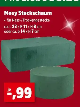 Thomas Philipps Mosy steckschaum Angebot