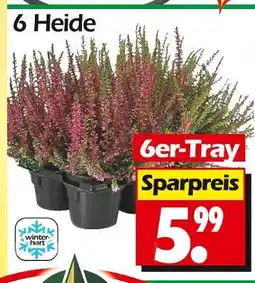 Wreesmann 6 heide Angebot