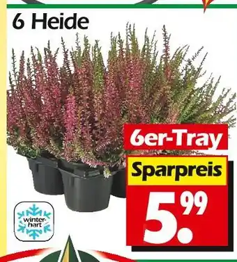 Wreesmann 6 heide Angebot