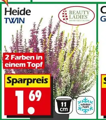 Wreesmann Beauty ladies heide twin Angebot