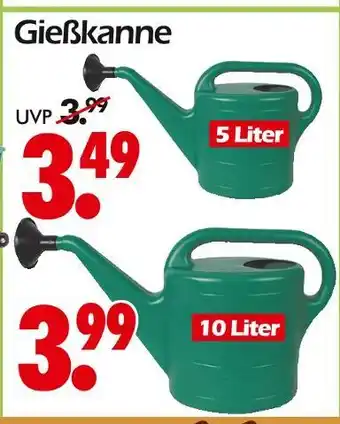 Wreesmann Gießkanne Angebot