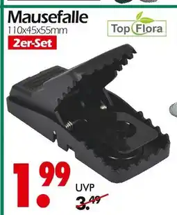 Wreesmann Top flora mausefalle Angebot