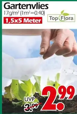 Wreesmann Top flora gartenvlies Angebot