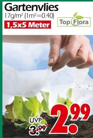 Wreesmann Top flora gartenvlies Angebot