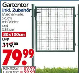 Wreesmann Gartentor 80x100cm Angebot