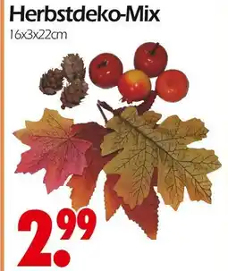 Wreesmann Herbstdeko-mix Angebot