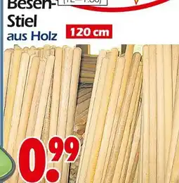 Wreesmann Besen-stiel Angebot