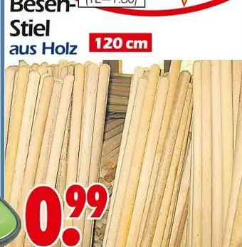 Wreesmann Besen-stiel Angebot