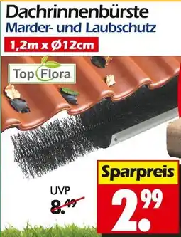 Wreesmann Top flora dachrinnenbürste Angebot