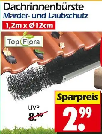 Wreesmann Top flora dachrinnenbürste Angebot