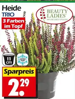 Wreesmann Beauty ladies heide trio Angebot
