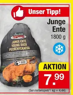 Zimmermann Valdor junge ente Angebot