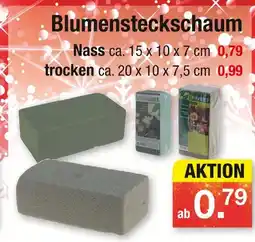 Zimmermann Blumensteckschaum nass Angebot