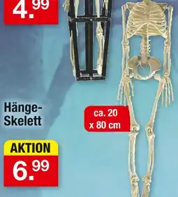 Zimmermann Hänge-skelett Angebot