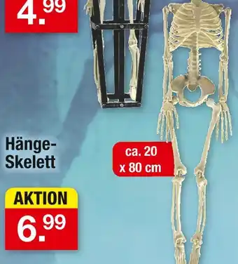 Zimmermann Hänge-skelett Angebot