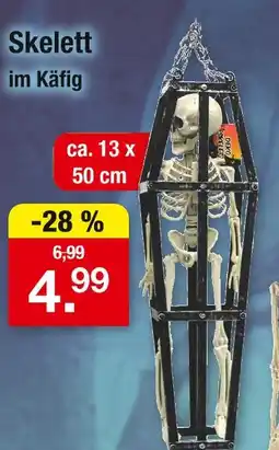 Zimmermann Skelett Angebot