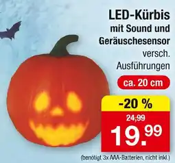 Zimmermann Led-kürbis Angebot