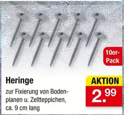 Zimmermann Heringe Angebot