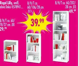 Möbel Boss Regal lilly Angebot