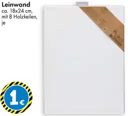 TEDi Leinwand Angebot